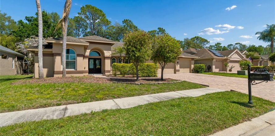Villa ou maison à Palm Harbor, Floride 4 chambres, 208.47 m2 № 2147908