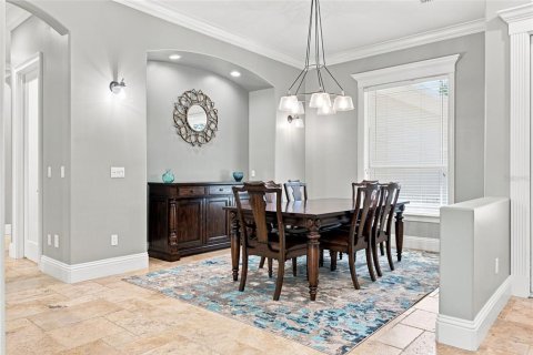 Villa ou maison à vendre à Lutz, Floride: 5 chambres, 414.25 m2 № 2150272 - photo 10