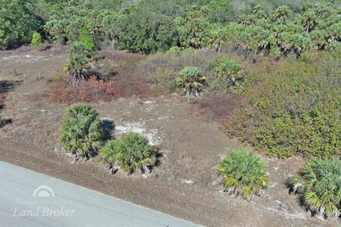 Land in North Port, Florida № 2163959 - photo 6