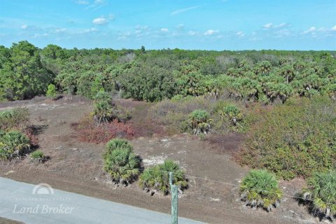 Land in North Port, Florida № 2163959 - photo 4