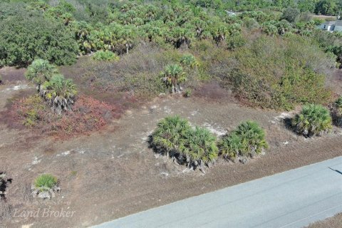 Land in North Port, Florida № 2163959 - photo 5