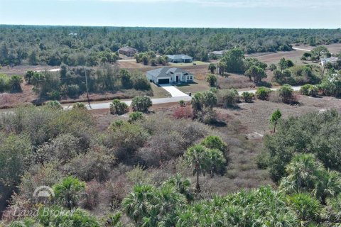 Land in North Port, Florida № 2163959 - photo 19