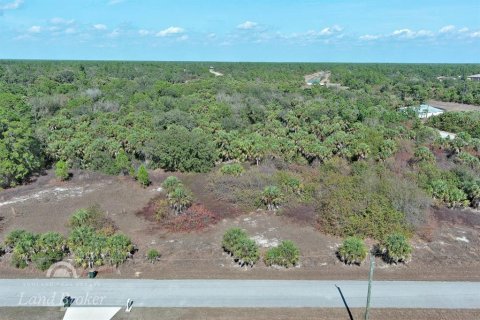 Land in North Port, Florida № 2163959 - photo 8