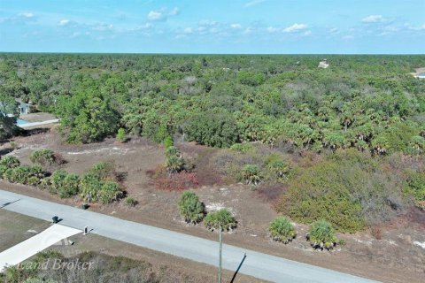 Land in North Port, Florida № 2163959 - photo 7