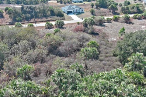 Land in North Port, Florida № 2163959 - photo 18