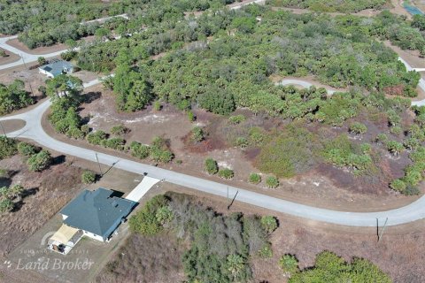 Land in North Port, Florida № 2163959 - photo 2