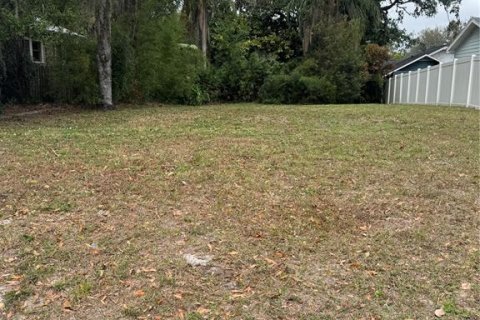 Terreno en venta en Tampa, Florida № 2144242 - foto 2