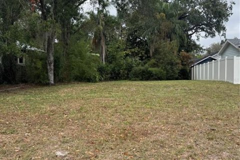 Terreno en Tampa, Florida № 2144242