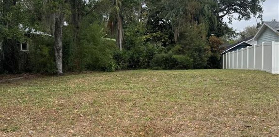 Terreno en Tampa, Florida № 2144242
