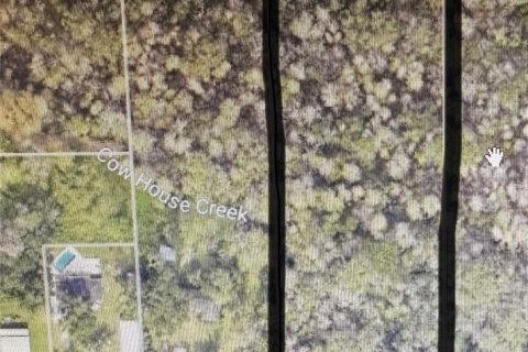 Land in Tampa, Florida № 1915378 - photo 3