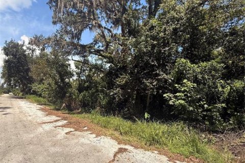 Land in Tampa, Florida № 1915378 - photo 2