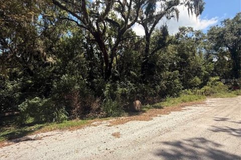 Land in Tampa, Florida № 1915378 - photo 1