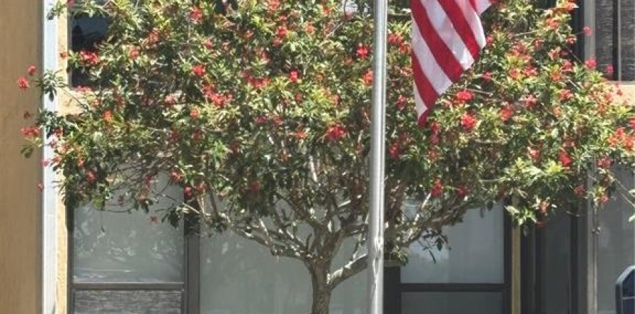 Condo à Venice, Floride, 2 chambres № 1732609