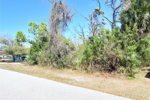 Land in Englewood, Florida № 2217723 - photo 3