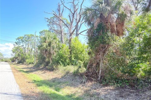 Land in Englewood, Florida № 2217723 - photo 5