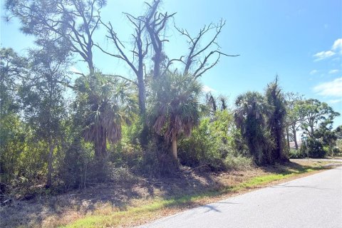 Land in Englewood, Florida № 2217723 - photo 4