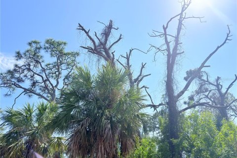 Land in Englewood, Florida № 2217723 - photo 10