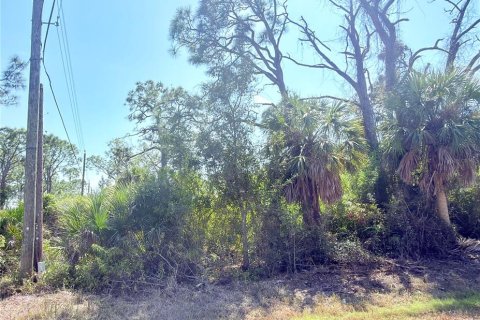 Land in Englewood, Florida № 2217723 - photo 6
