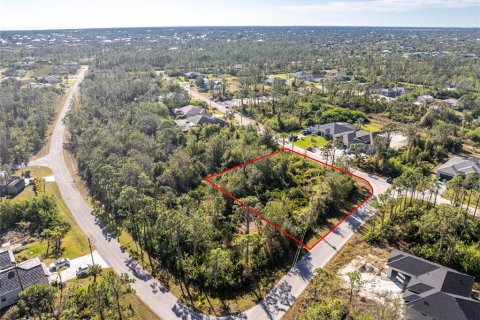 Land in Port Charlotte, Florida № 2159806 - photo 4