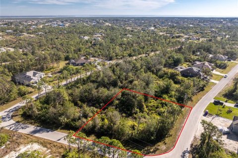 Land in Port Charlotte, Florida № 2159806 - photo 6