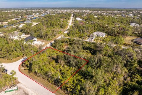 Land in Port Charlotte, Florida № 2159806