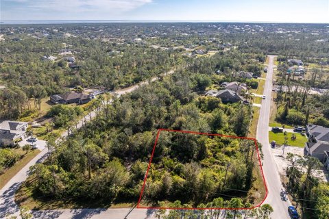 Land in Port Charlotte, Florida № 2159806 - photo 3