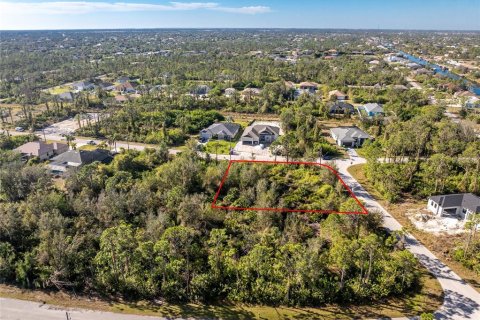 Land in Port Charlotte, Florida № 2159806 - photo 5