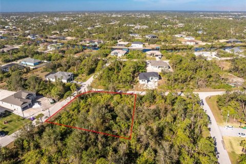 Land in Port Charlotte, Florida № 2159806 - photo 7