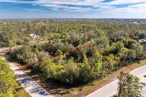 Land in Port Charlotte, Florida № 2159806 - photo 2