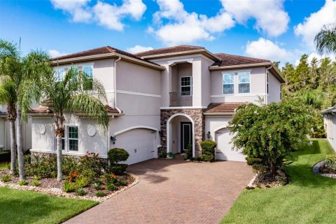 Villa ou maison à vendre à Wesley Chapel, Floride: 4 chambres, 368.82 m2 № 1616803 - photo 1