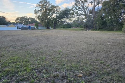 Land in Tampa, Florida № 2104969