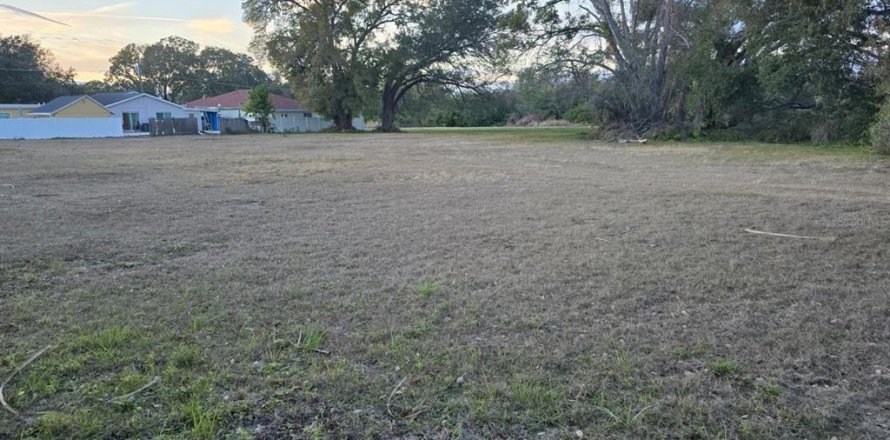 Land in Tampa, Florida № 2104969