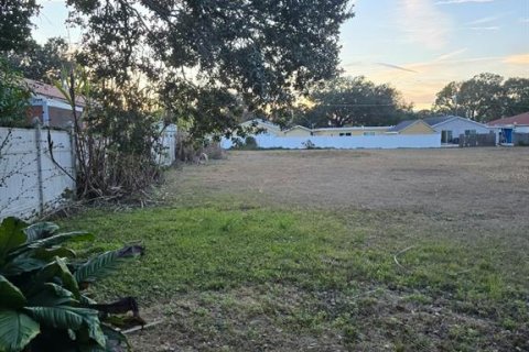 Land in Tampa, Florida № 2104969 - photo 3