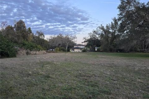 Land in Tampa, Florida № 2104969 - photo 2