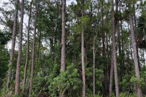 Land in Palm Bay, Florida № 2287703