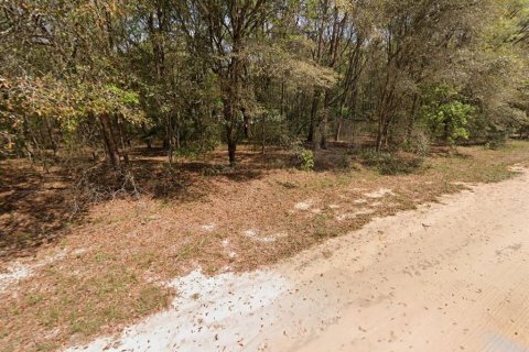 Terrain à vendre à Interlachen, Floride № 2223883 - photo 4