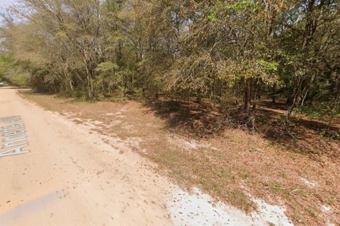 Terrain à vendre à Interlachen, Floride № 2223883 - photo 5