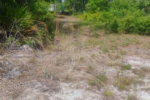 Land in Mount Dora, Florida № 2166679