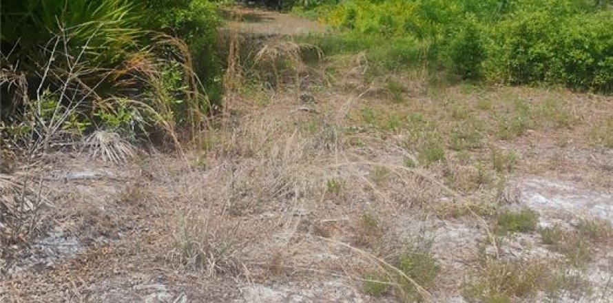 Land in Mount Dora, Florida № 2166679
