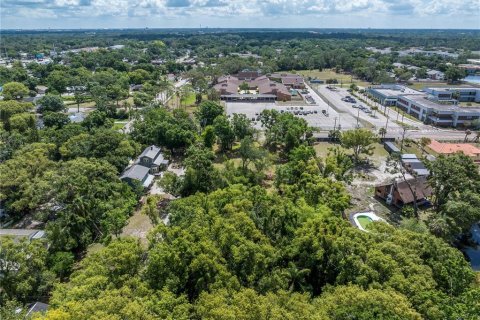 Land in Tampa, Florida № 1689979 - photo 18
