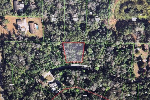Land in Inverness, Florida № 1613294 - photo 10