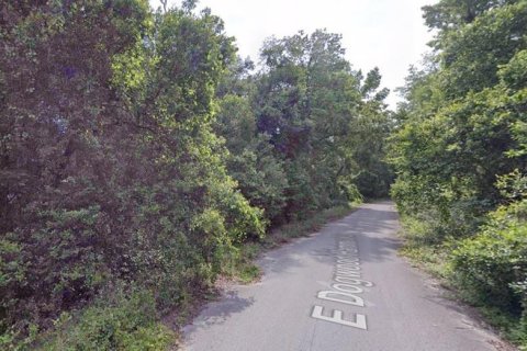 Land in Inverness, Florida № 1613294 - photo 2