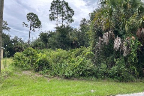 Land in North Port, Florida № 2162560 - photo 2