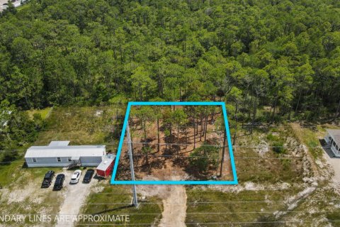 Land in Santa Rosa Beach, Florida № 558303 - photo 1