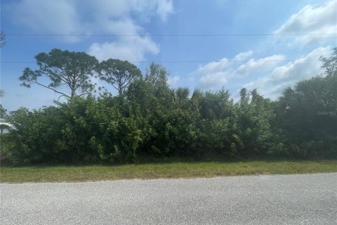 Land in Englewood, Florida № 2161751 - photo 2