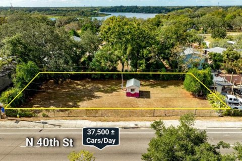 Land in Tampa, Florida № 2111196 - photo 2