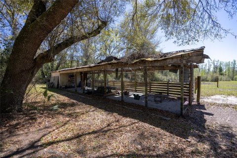 House in Alachua, Florida 7 bedrooms, 330.45 sq.m. № 1586020 - photo 23