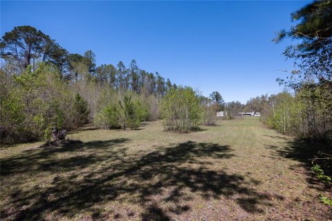 House in Alachua, Florida 7 bedrooms, 330.45 sq.m. № 1586020 - photo 6