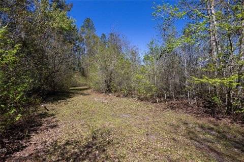 House in Alachua, Florida 7 bedrooms, 330.45 sq.m. № 1586020 - photo 5