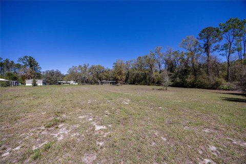 House in Alachua, Florida 7 bedrooms, 330.45 sq.m. № 1586020 - photo 7